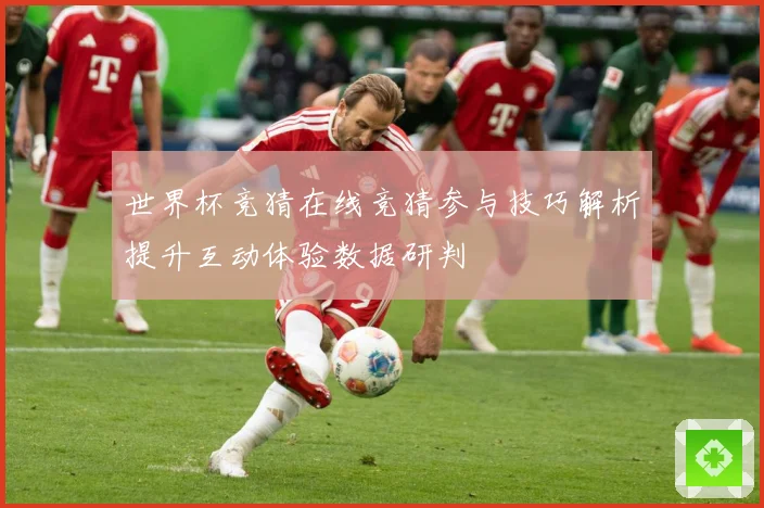 世界杯竞猜在线竞猜参与技巧解析提升互动体验数据研判