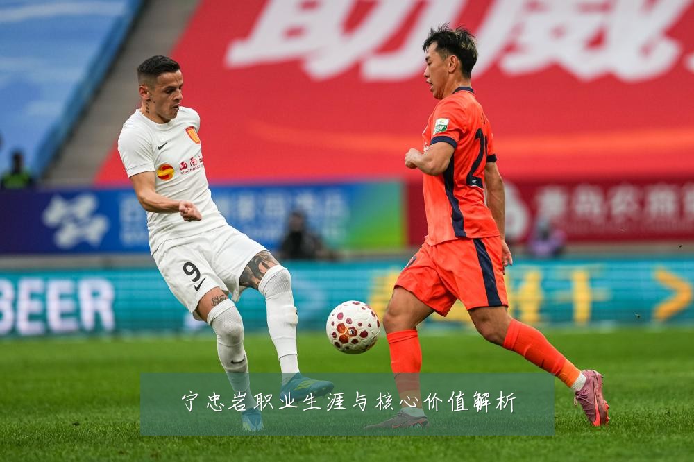 宁忠岩职业生涯与核心价值解析