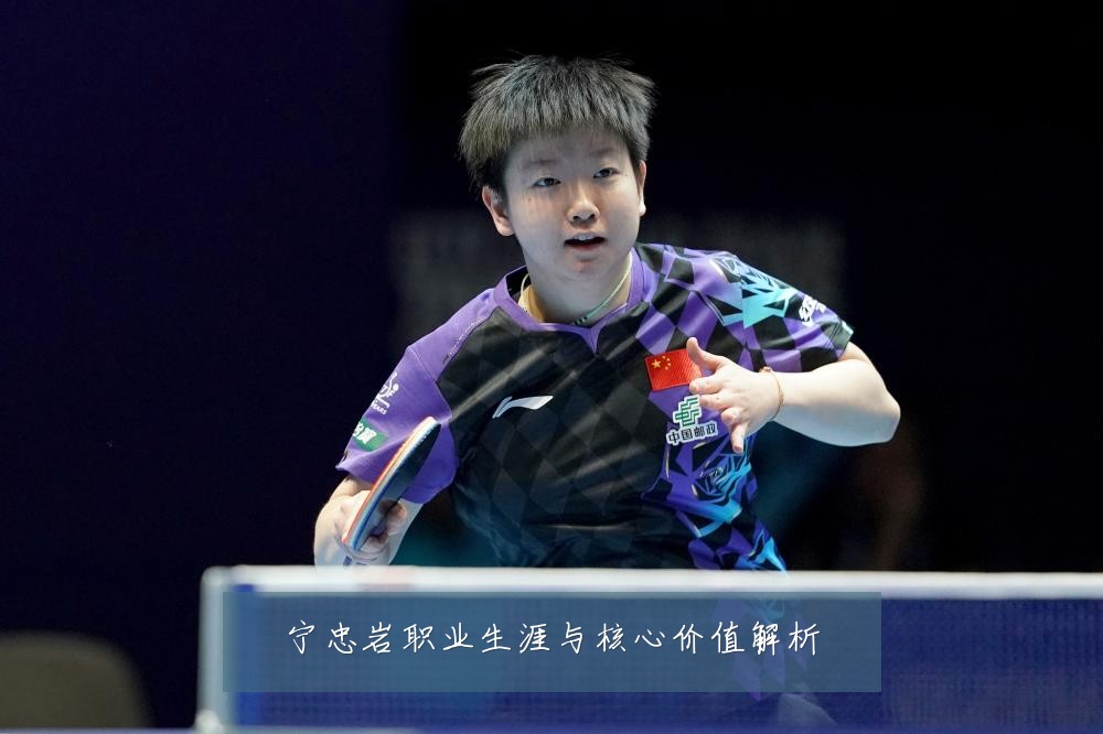 宁忠岩职业生涯与核心价值解析