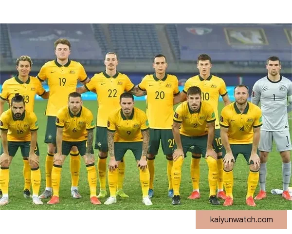 世界杯竞猜赔率波动解析与球队胜负走势深度剖析